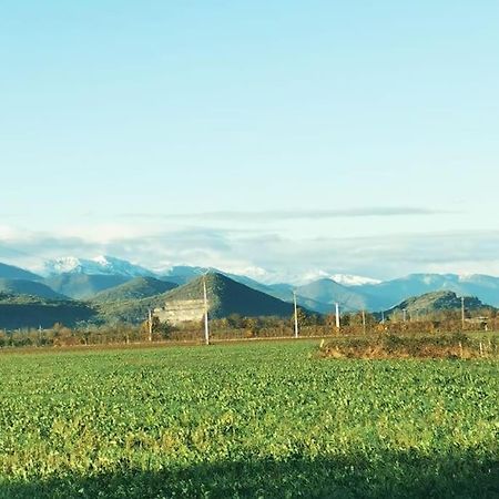 Pointis-de-RiviereT3 Au Pied Des Pyrenees公寓 外观 照片